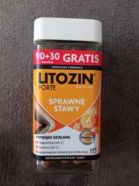 Litozin Forte 120 kaps