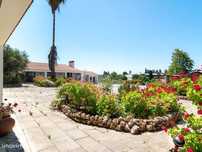 Quinta com olival em Moura, Alentejo