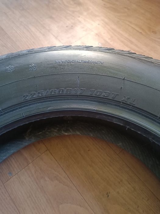 Шины Federal Hamalya WS2