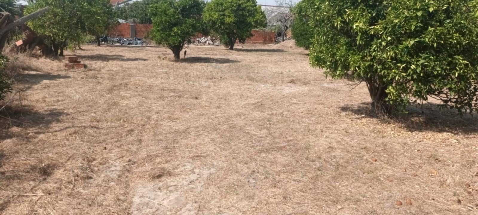 Moradia antiga com terreno