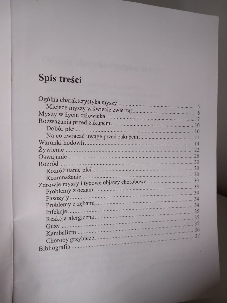 Hobby Myszy Agnieszka Zas