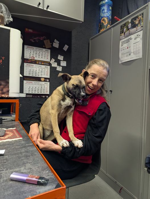 Подаруємо маленьку дівчинку Скубі-Ду