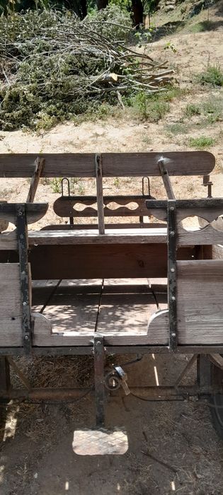 carroça por burro, cavalo ou mula em muito bom estado.