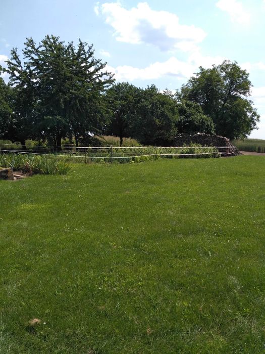 Dom w cichej spokojnej okolicy z zabudowaniami gospodarczymi