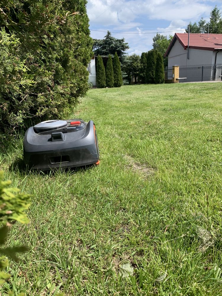 Segway Roboty Koszace Bez Granic