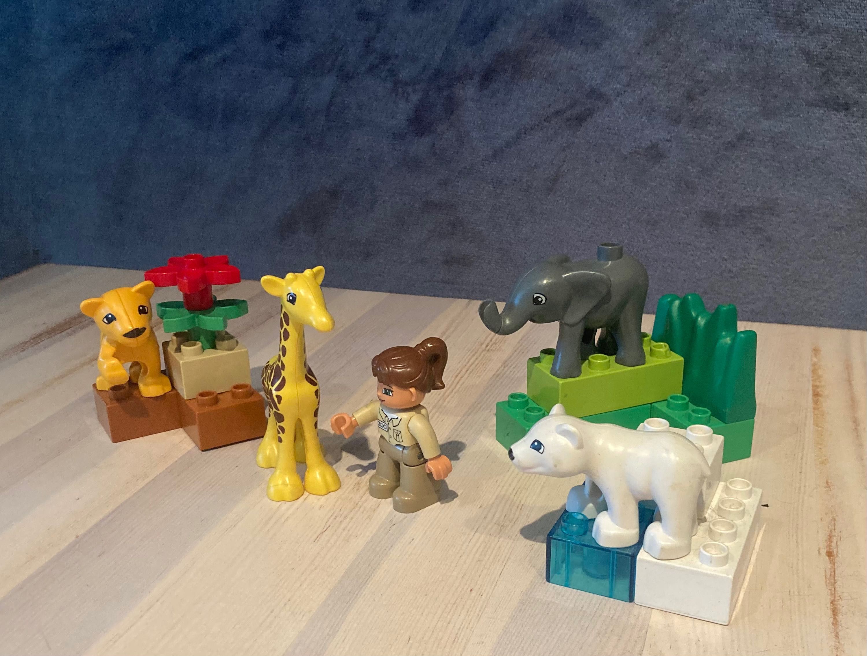 Lego Duplo 4962 Małe zoo