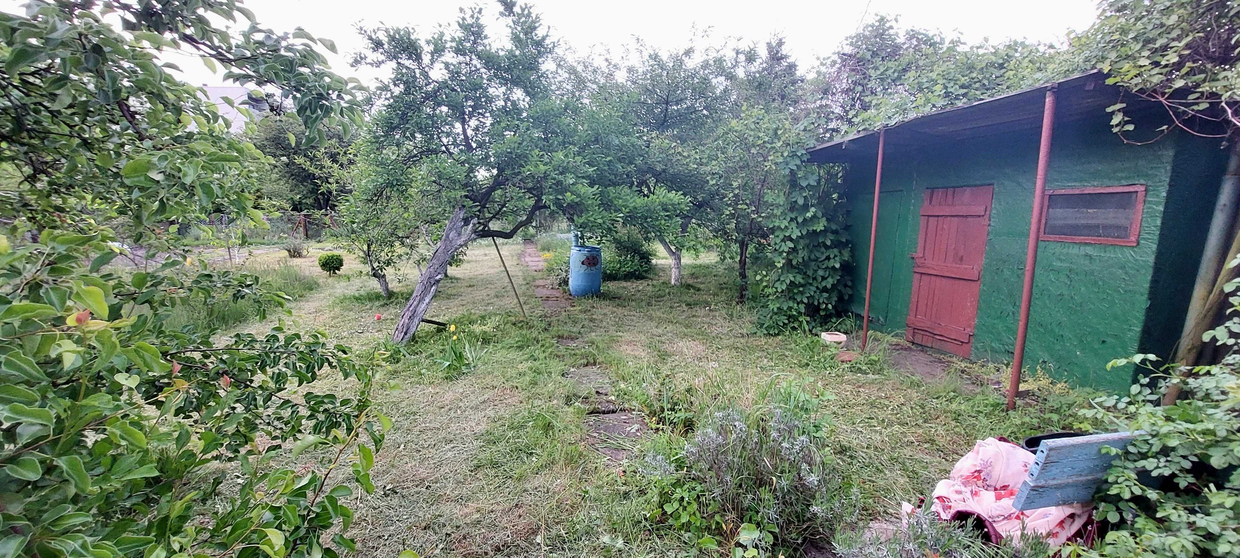 Ogródek działkowy ROD "Lepsze Jutro" ul.Daszyńskiego/Jaracza
