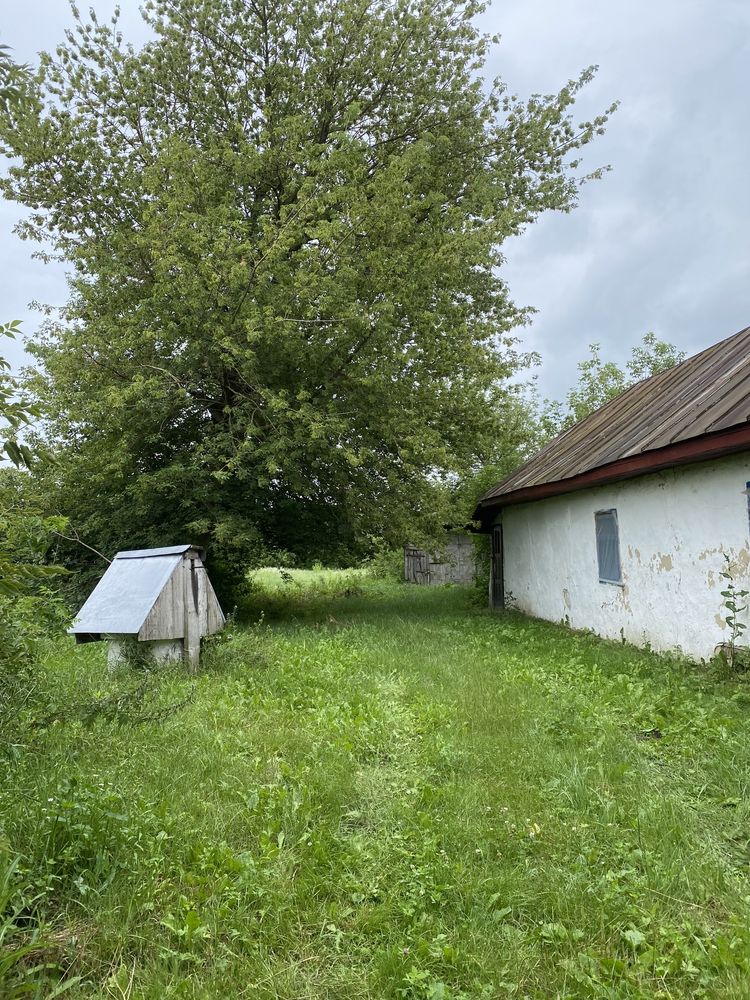Продам земельну ділянку в с.Мстишин