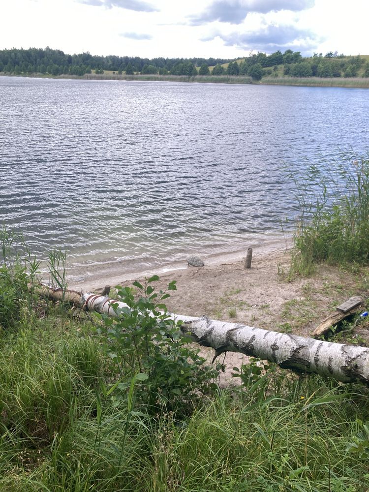 Domek na Mazurach, domek drewniany, las, Mazury, cisza, Mrągowo