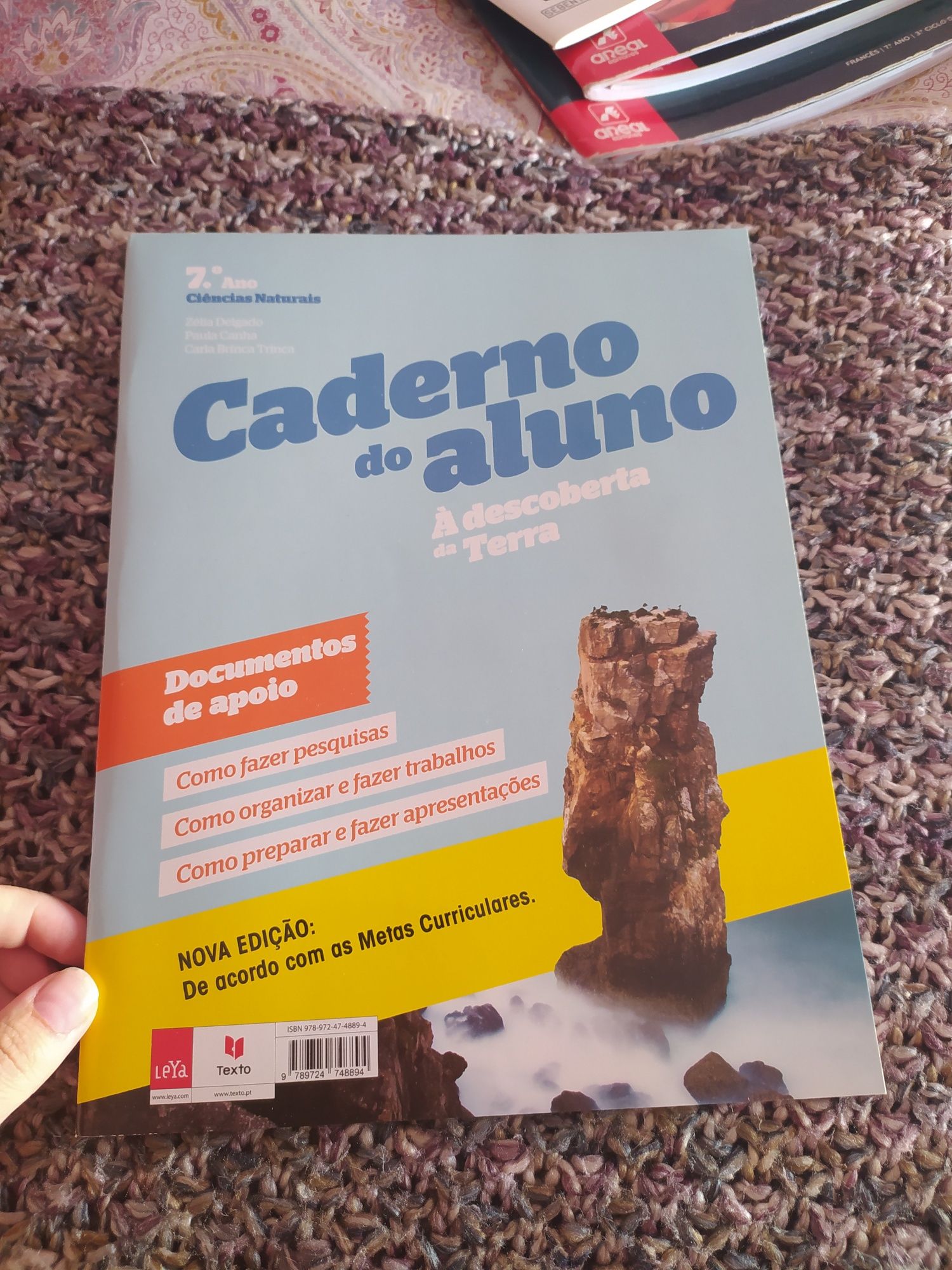 Cadernos de Atividades 7°ano