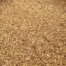 Продам пшеницу урожай 2021