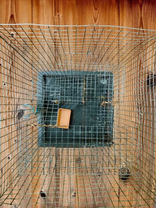 Клітка для гризунів, клетка для грызунов (хомяков, крыс, мышей, шиншил