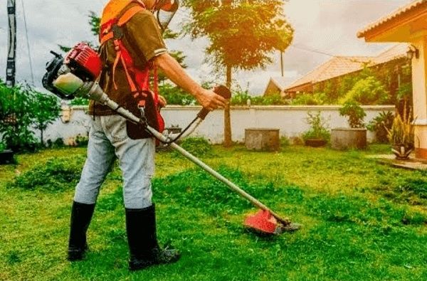 Serviços de Jardinagem e Limpeza de terrenos