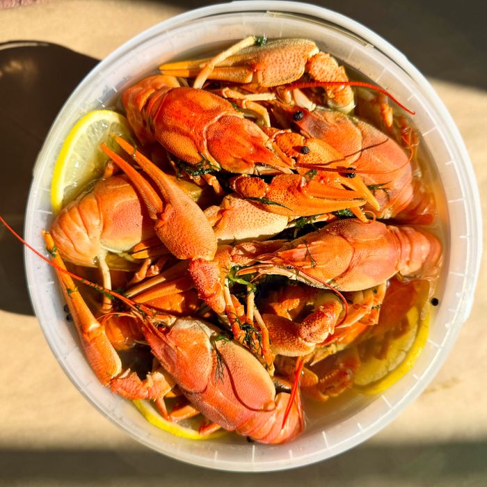 Раки живі від рибака