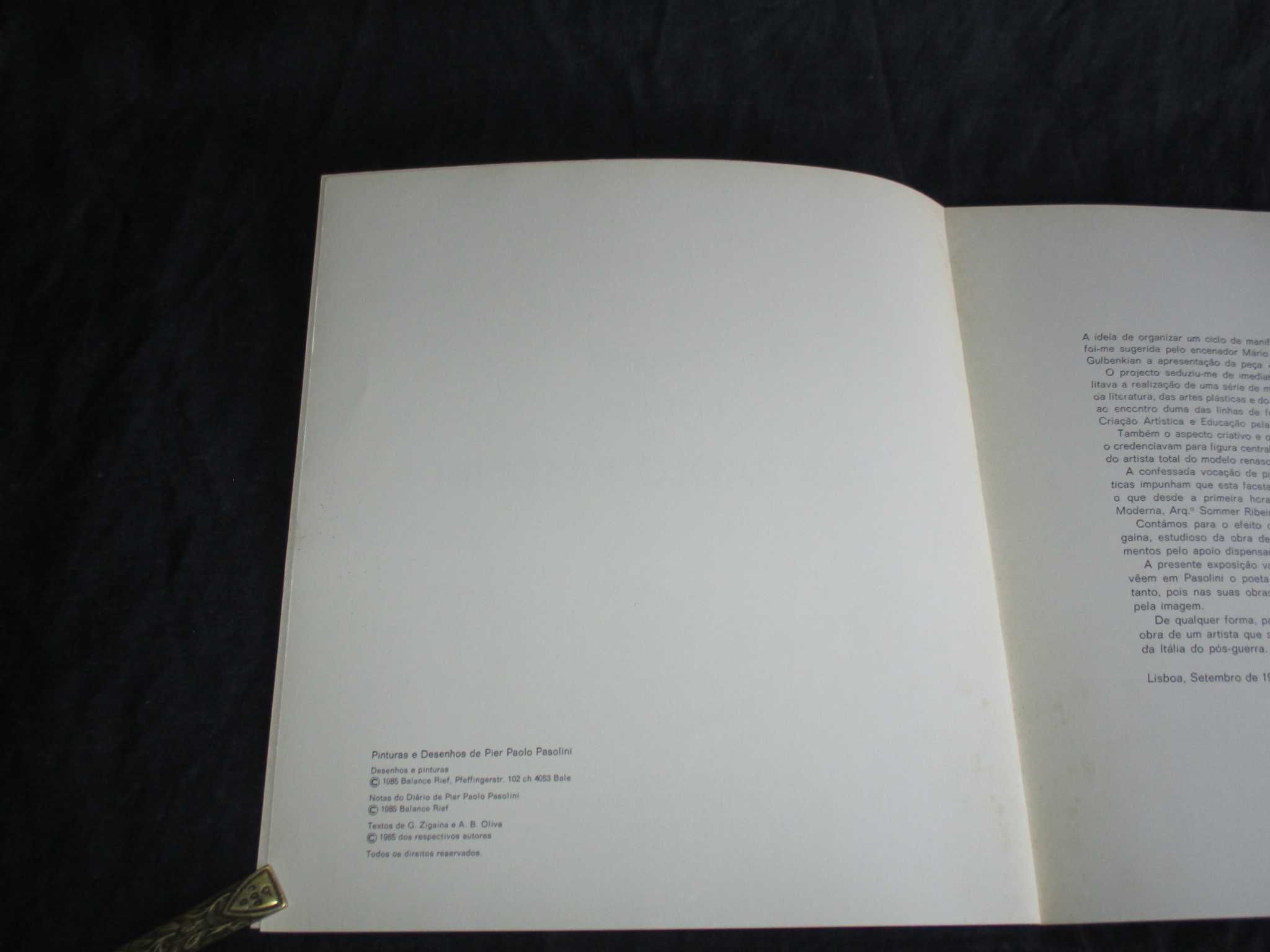 Livro Pinturas e Desenhos de Pier Paolo Pasolini Gulbenkian