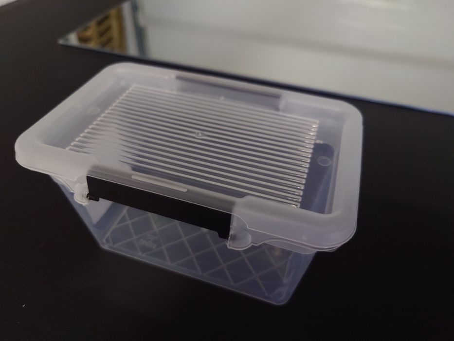 Pojemnik Box terrarium Ptasznik + Gratis