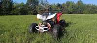 Quad Bashan 200ccm3 z homologaciom!