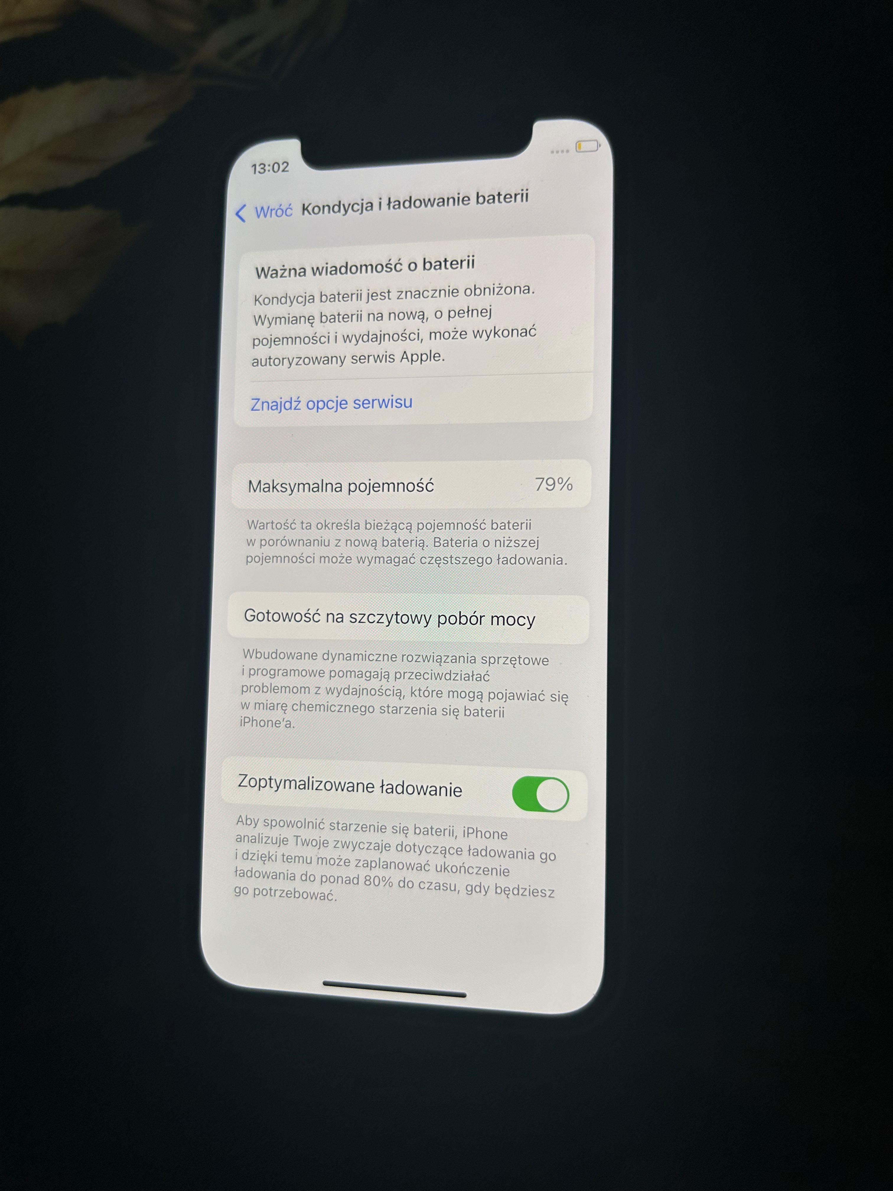 iPhone 12 mini jasny zielony