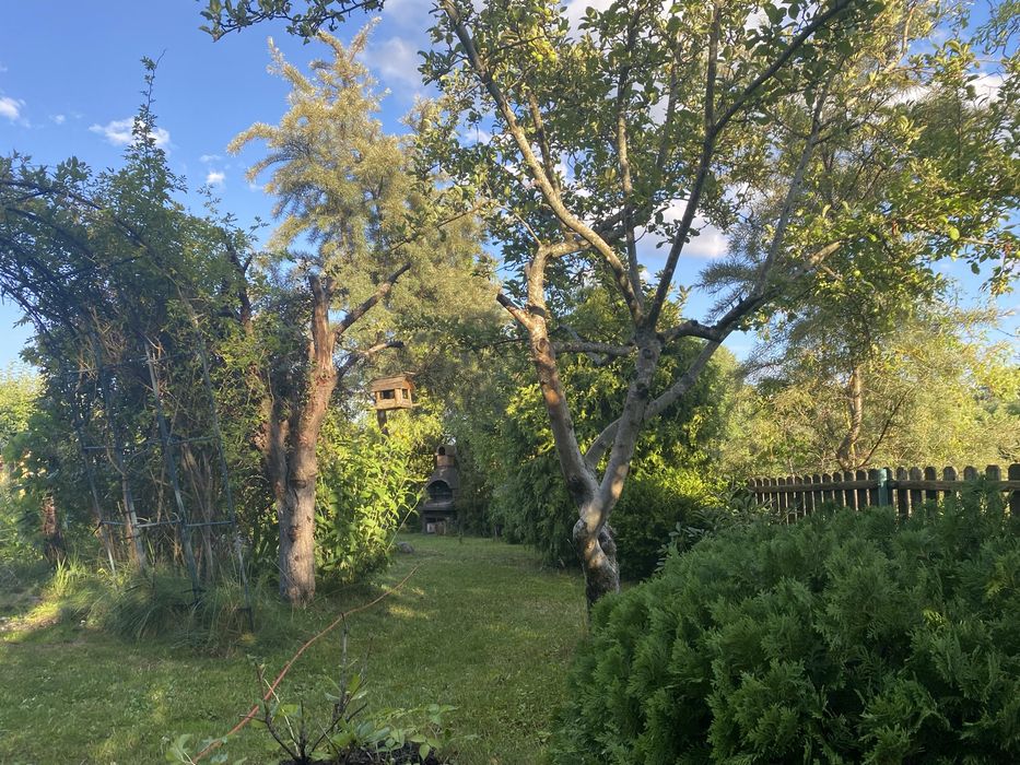 Działka ogrodowa nr 524 w Suwałkach im. Jaćwingów