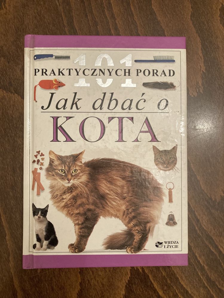 Jak dbać o kota