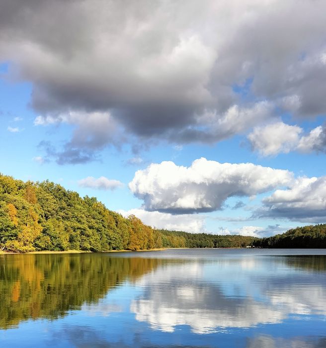 Domek nad jeziorem-Porost Apartament pod Dębem 42 m kw