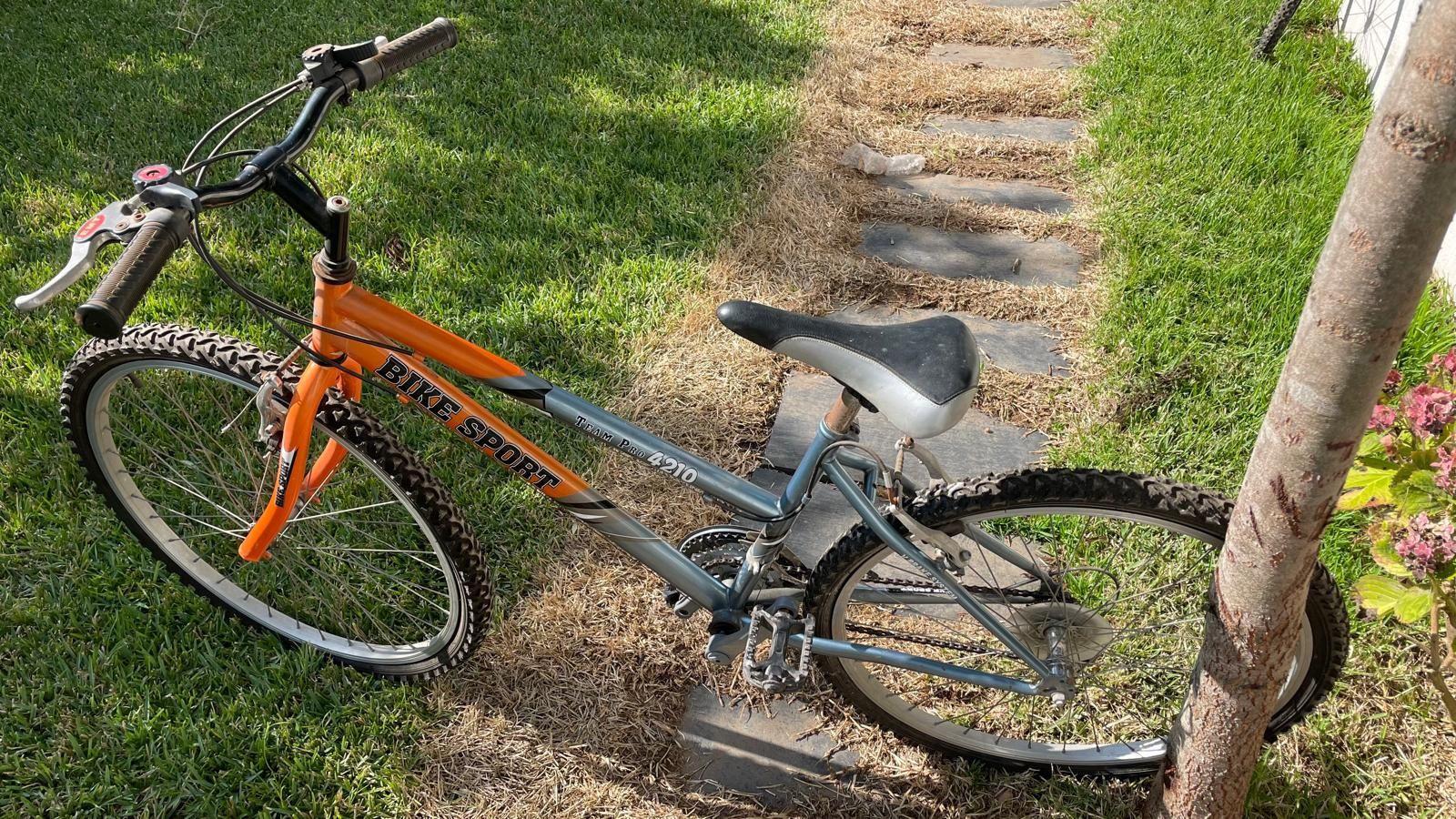Bicicleta de adulto