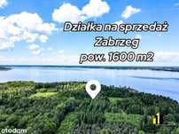 Piękna działka rekreacyjna w środku lasu