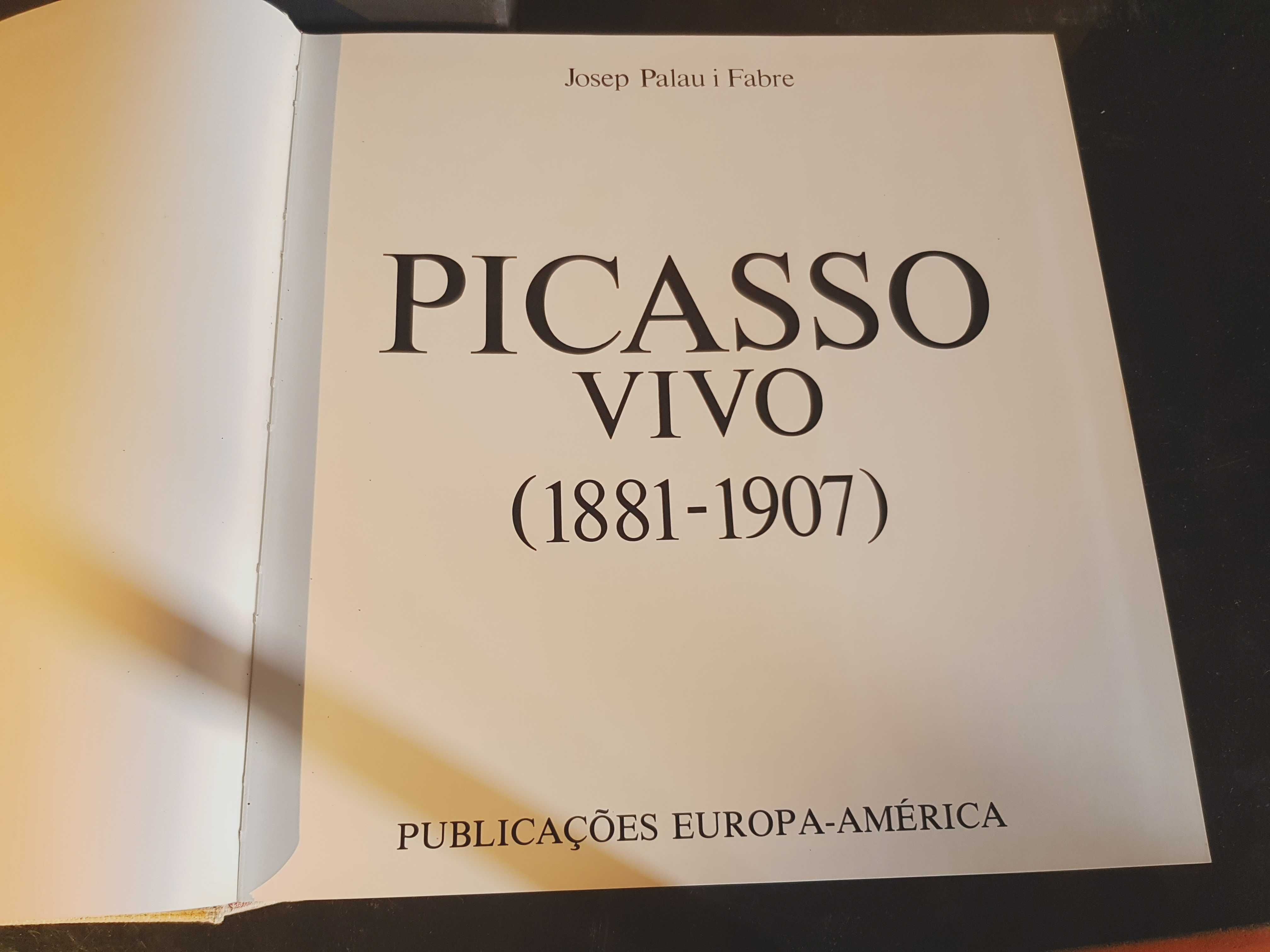 Picasso Vivo - Infância e Primeira Juventude de um Génio