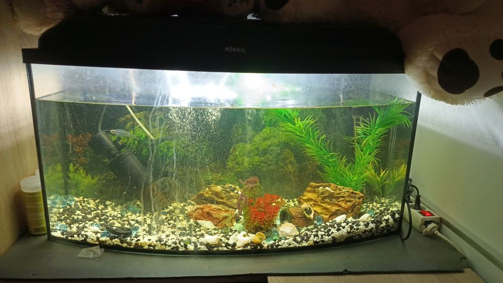 Akwarium Aquaell 120L+ bardzo dużo dodatków