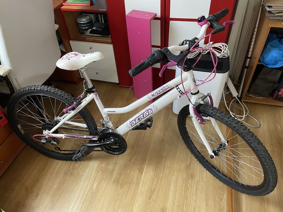 Bicicleta menina Berg roda 24