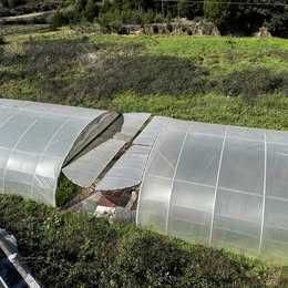 Alugo terreno + 9000 m2 com Luz e água, Seguro, Quinta Fechada