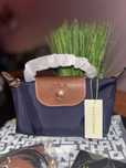 Mini Longchamp Azul