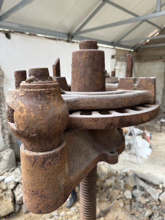 Prensa de uva para vinho