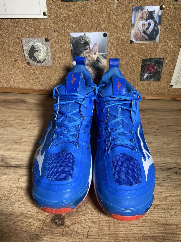 Чоловічі кросівки для волейболу Mizuno WAVE MOMENTUM 2