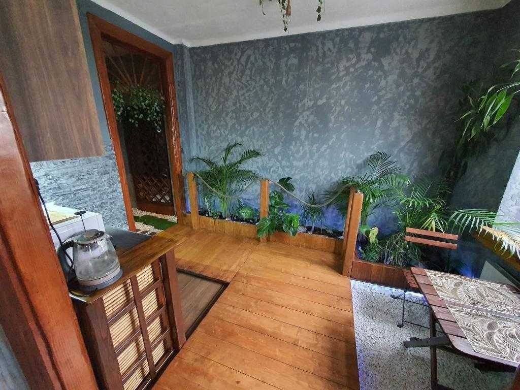 JUNGLE apartament z jacuzzi w centrum miasta
