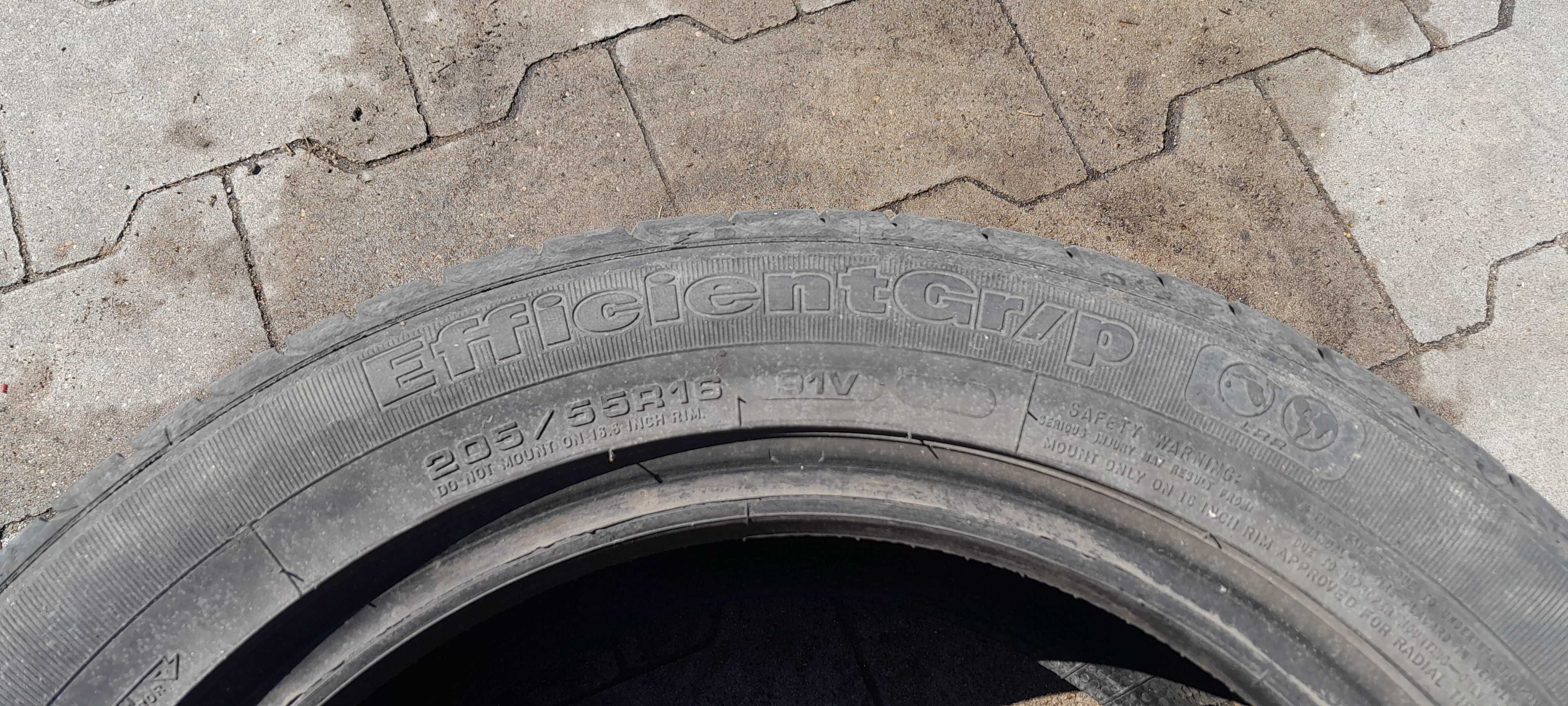 Goodyear EfficientGrip 205/55/16 91V