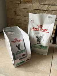Royal Canin Diabetic вологі паучі та сухий