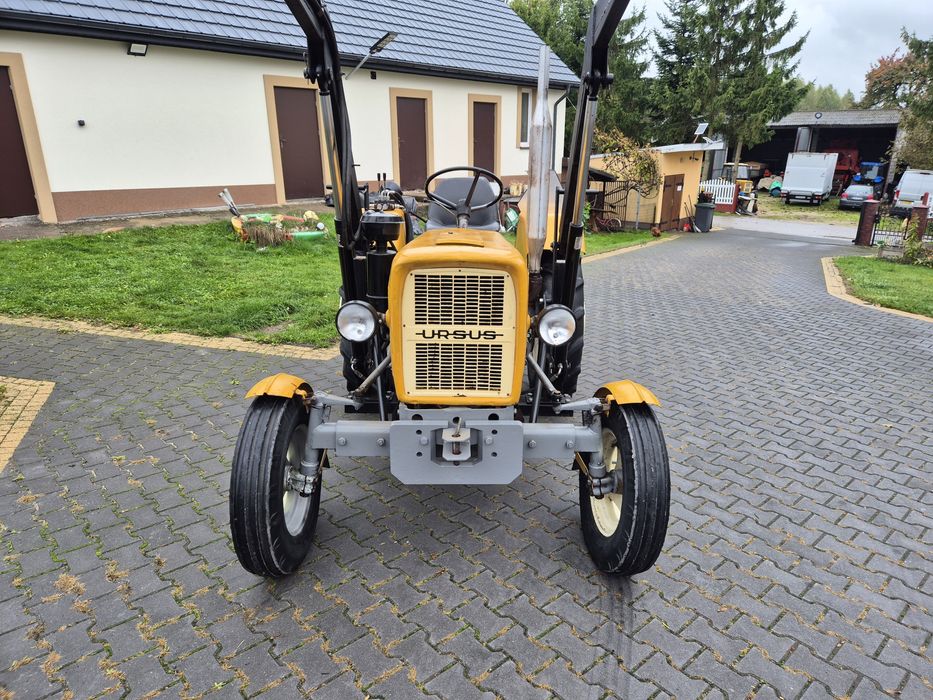 Ciągnik Ursus C-330, 1982r. Oryginał z Turem ok.2500mtg