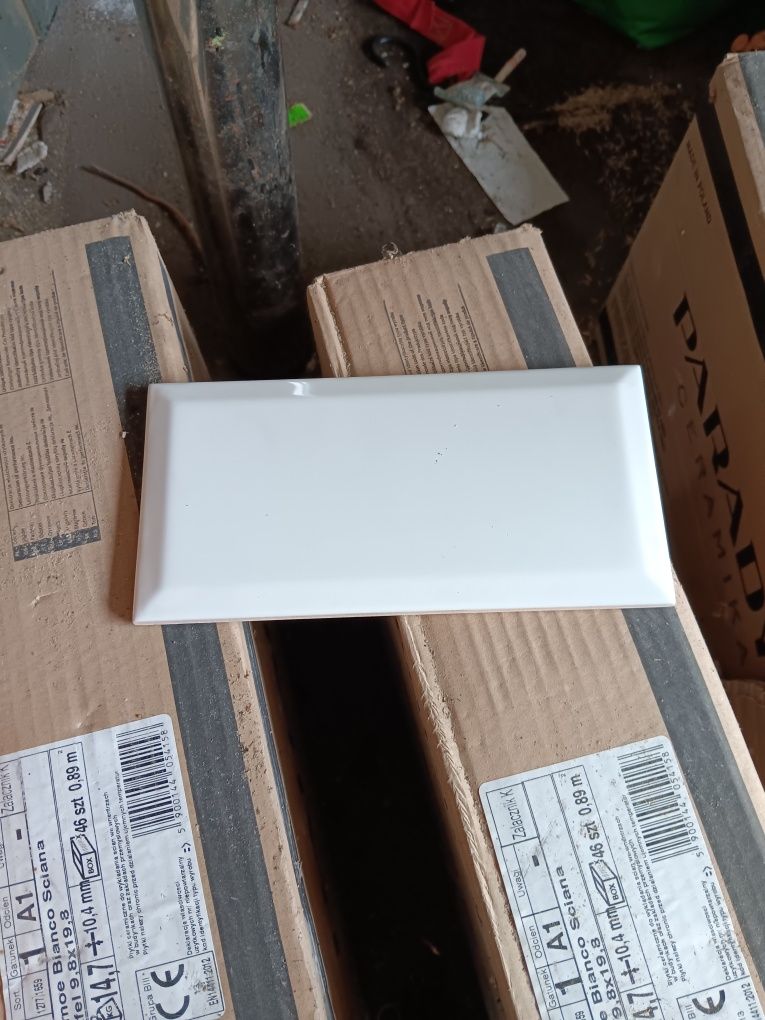 Płytki ścienne paradyż Tarnoe Bianco Ściana Kafel 9,8x19,8