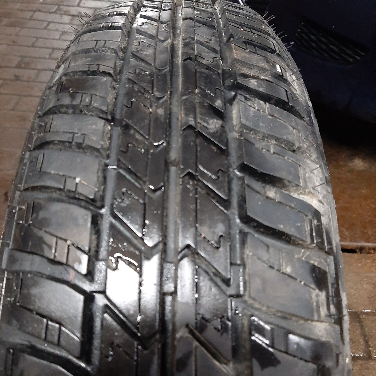 Opona Letnia BARUM 175/80R14 88H