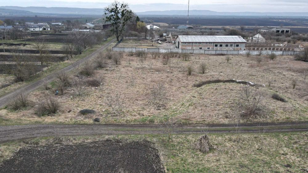 Комерційна земельна ділянка село Миколаїв 50 сотих