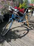 Rower damski Author Vista 17"
