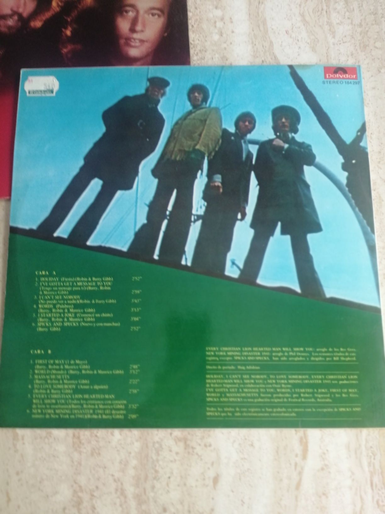 Discos vinil Lps Bee Gees