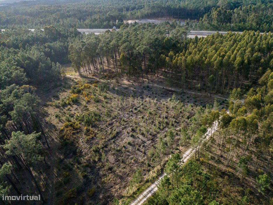 Terreno Indistrial - Maceira