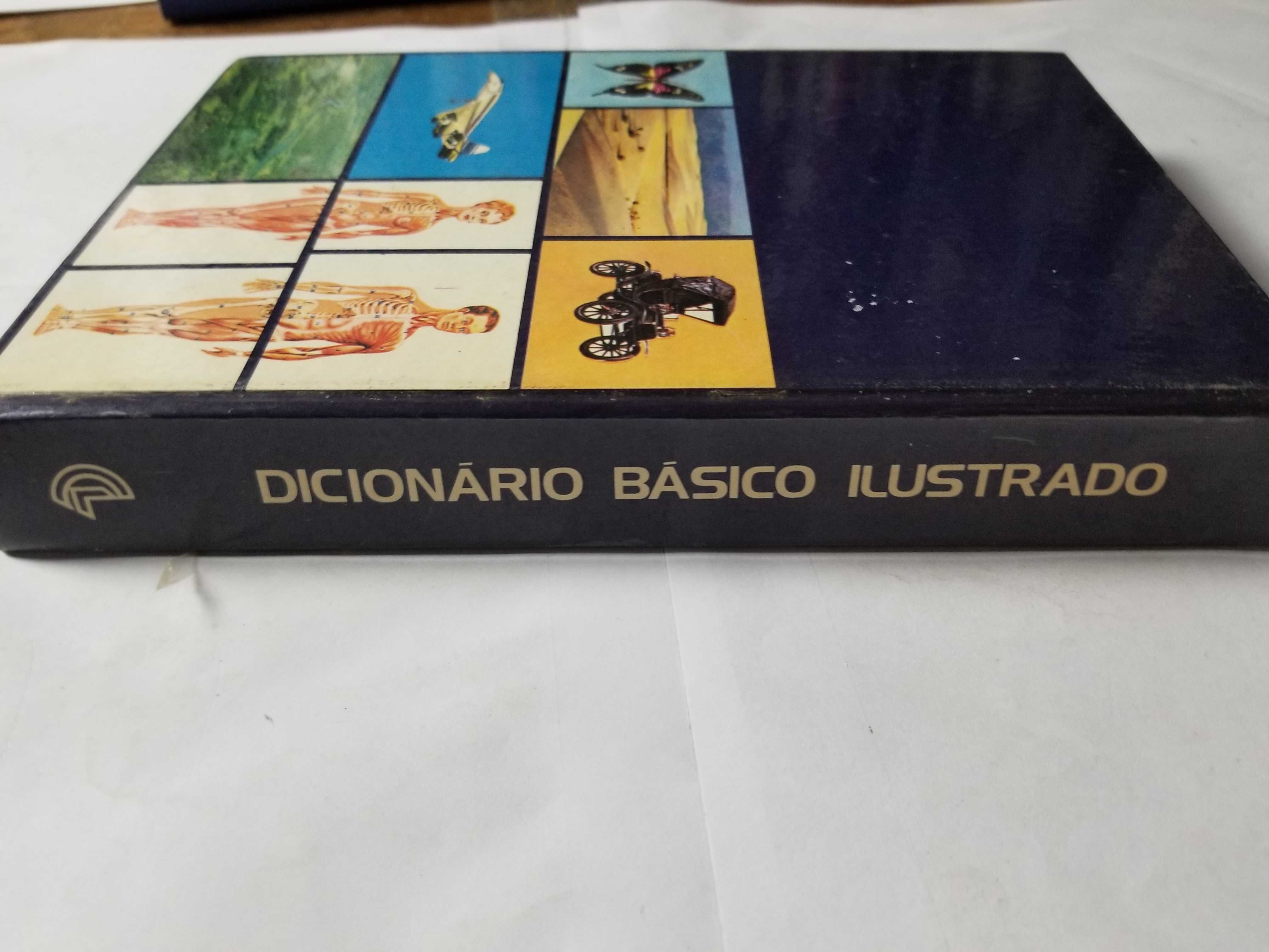 E2 - Livros - Dicionário Básico Ilustrado