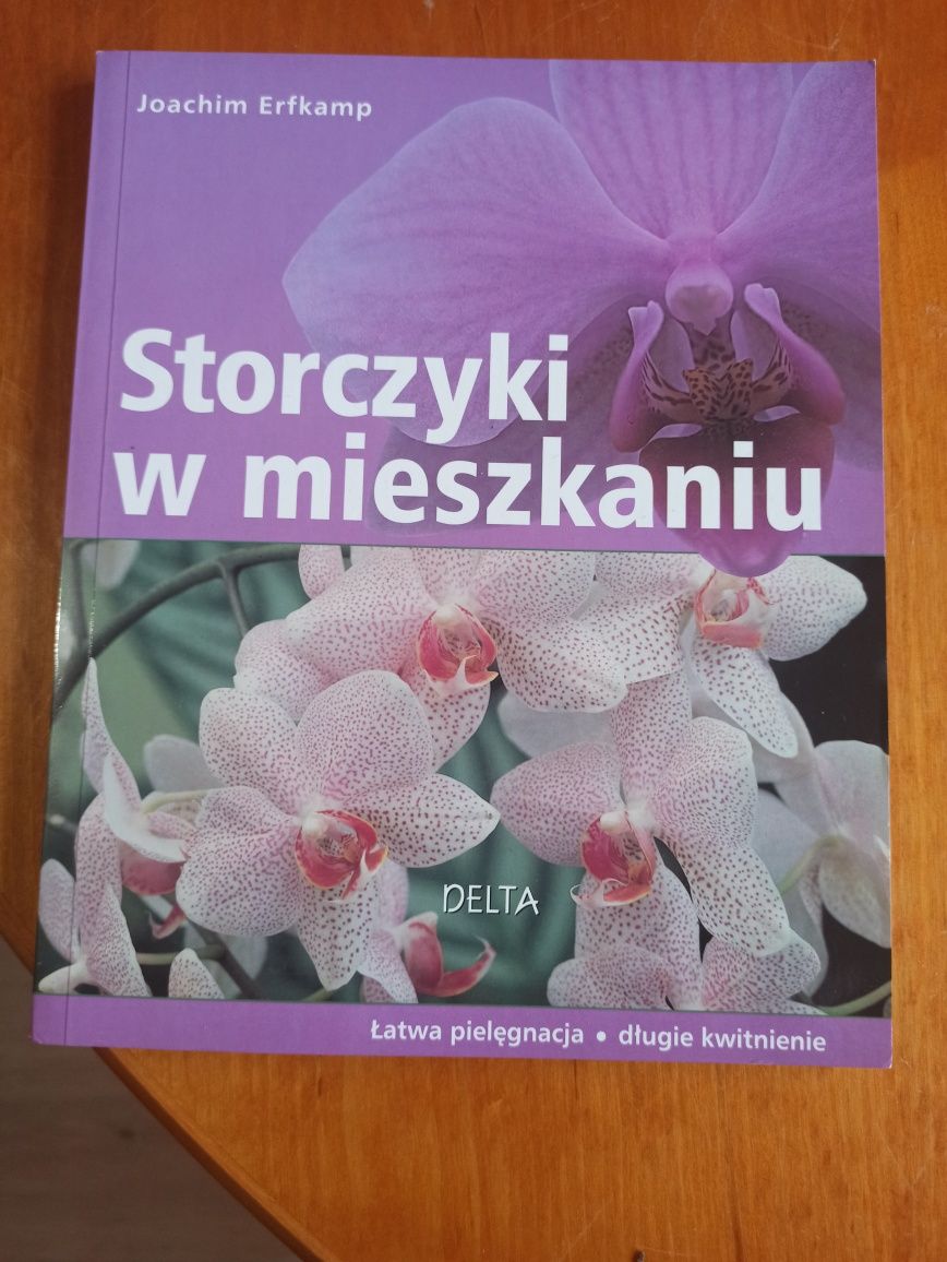 Storczyki w mieszkaniu