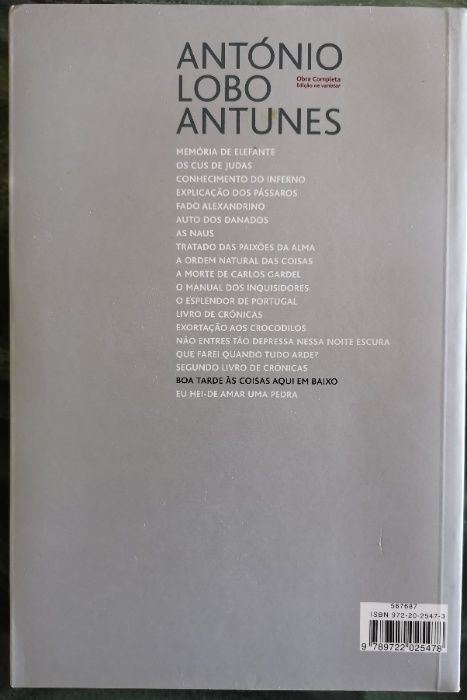 'Boa Tarde às Coisas Aqui em Baixo' de António Lobo Antunes