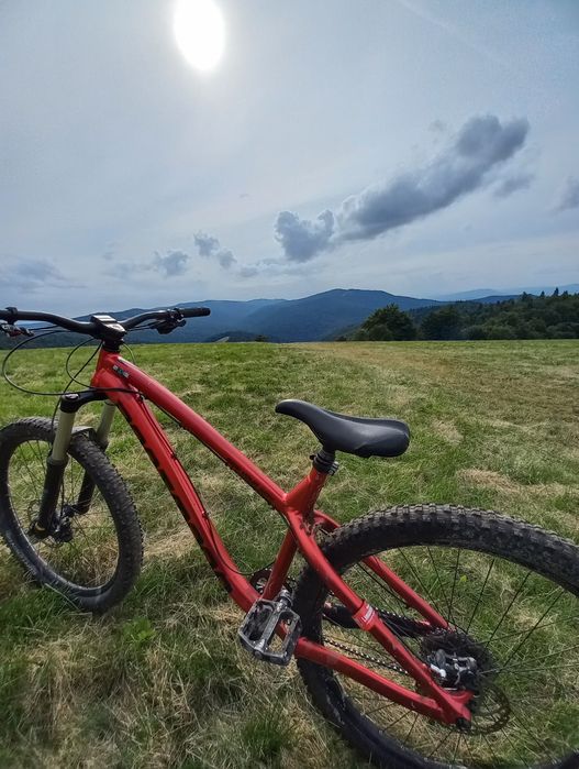 Rower Dartmoor Hornet  2017 L