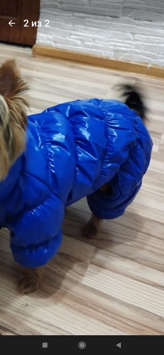 Продам комбинезон , костюм , куртка для маленькой собачки , размер S