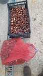 Castanhas biológicas